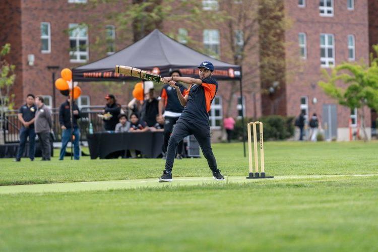 cricket pitch opens at 博彩平台网址大全